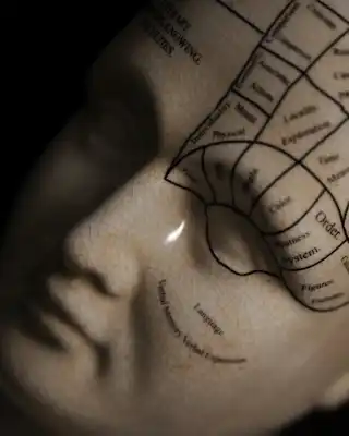 Phrenology statue with markings.